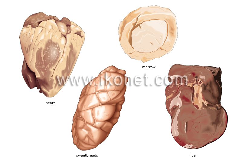 variety meat image