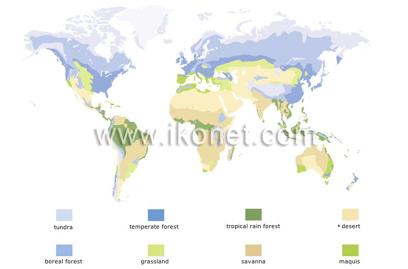 vegetation regions image