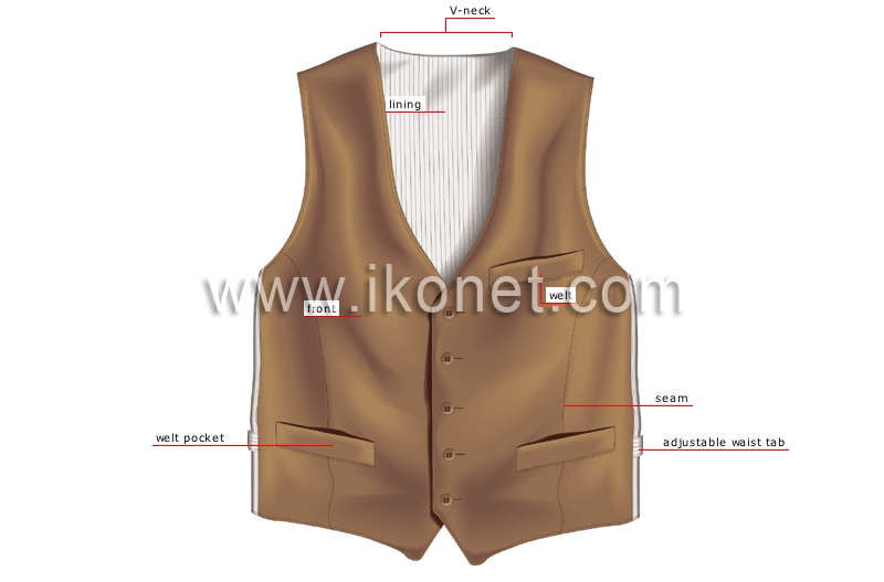 vest image