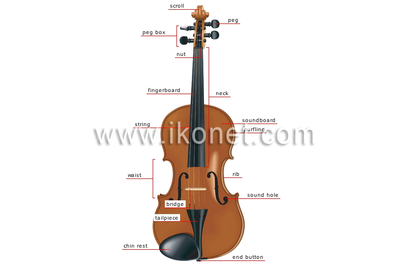 violin image