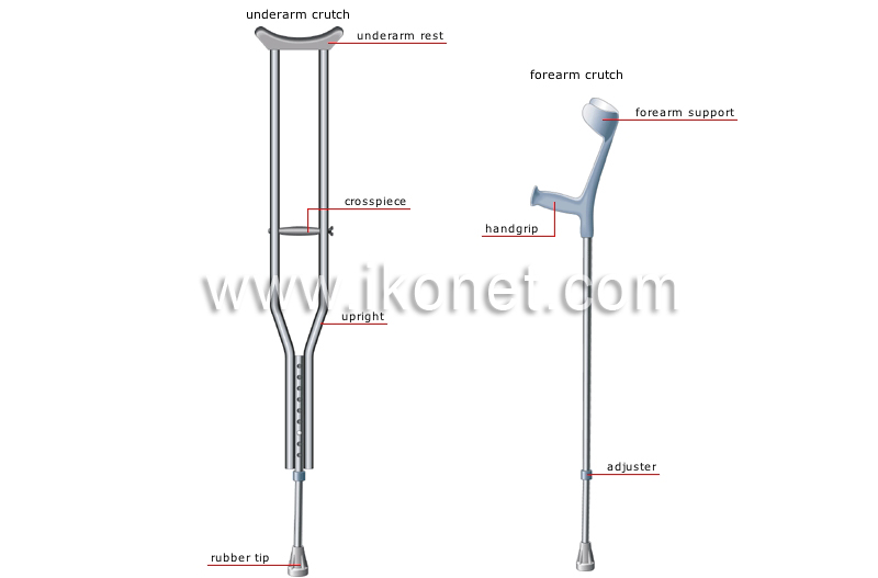 walking aids image