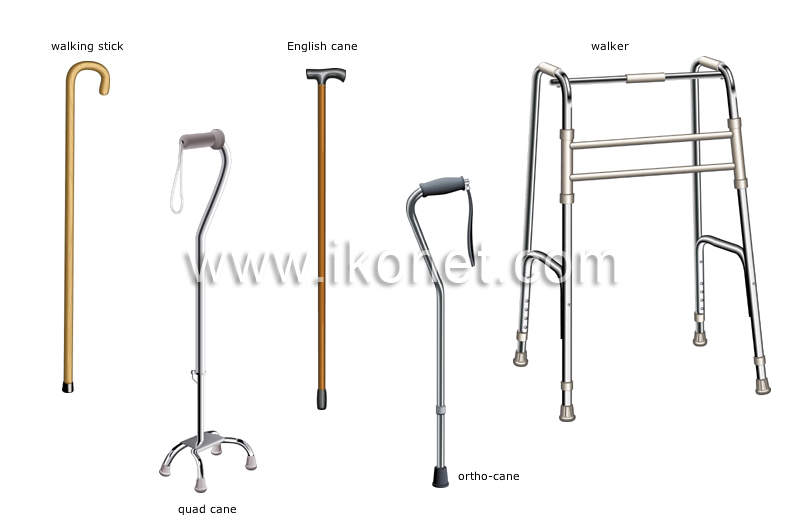 walking aids image