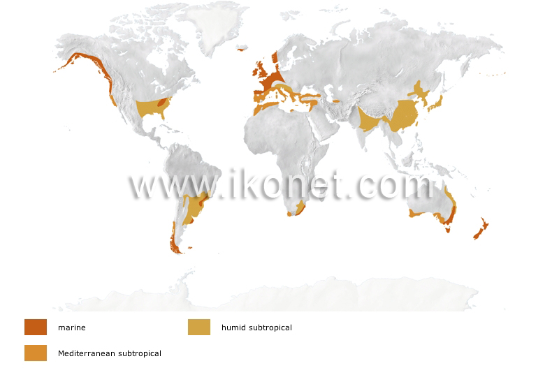 warm temperate climates image