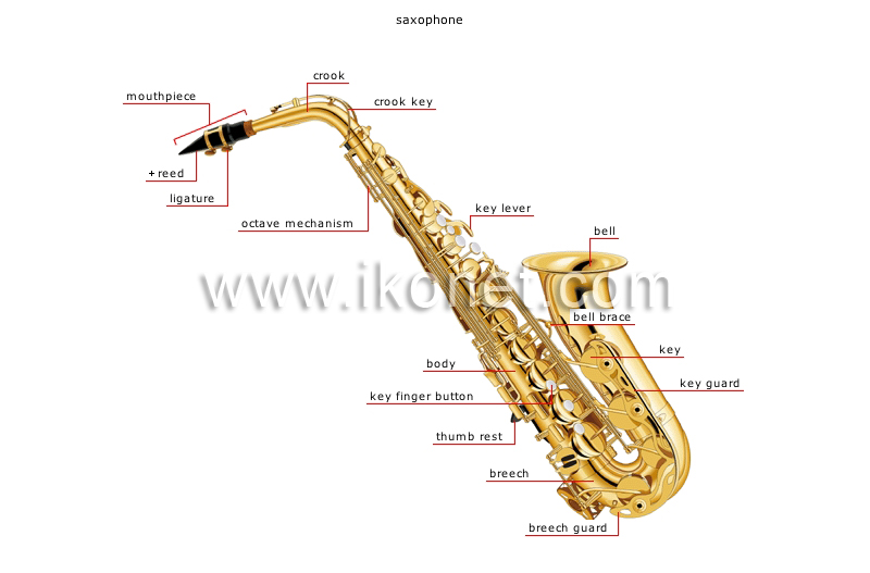 wind instruments image