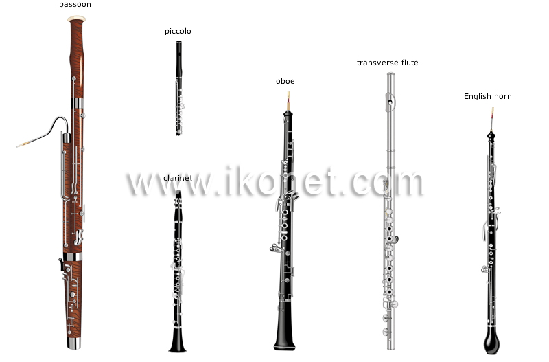 wind instruments image