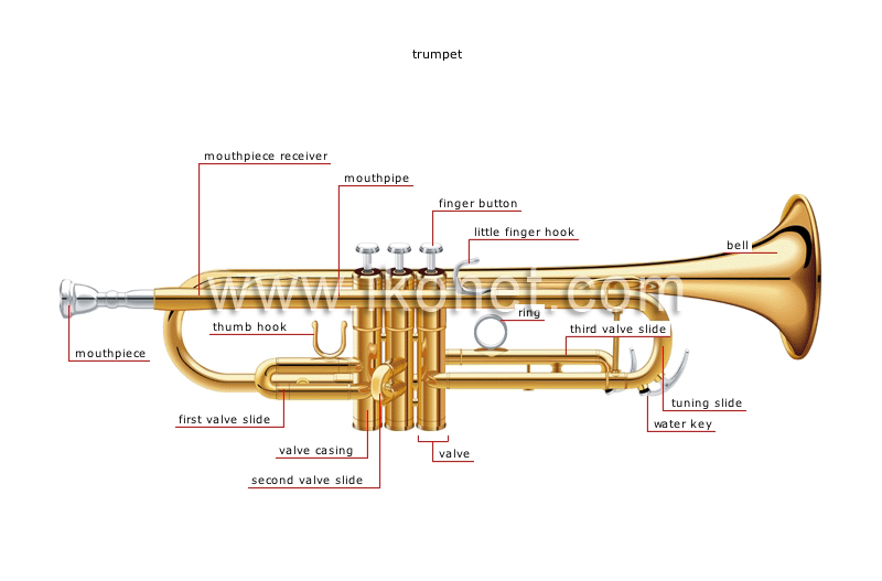 wind instruments image