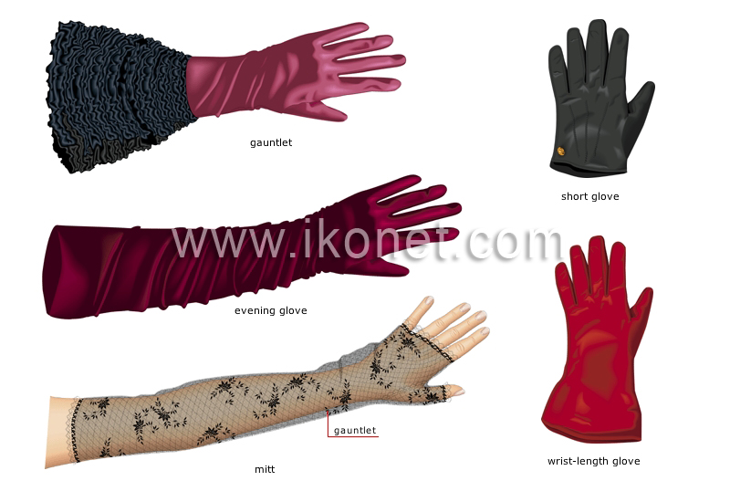 women’s gloves image