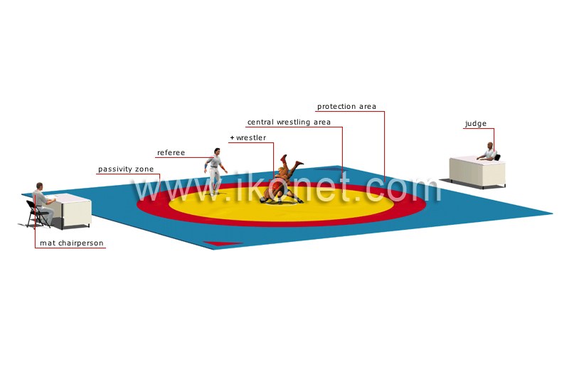 wrestling area image
