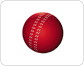 pelota de cricket