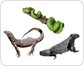 ejemplos de reptiles