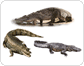 ejemplos de reptiles