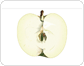 corte de una manzana image