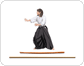 aikido image