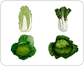 verduras de hojas