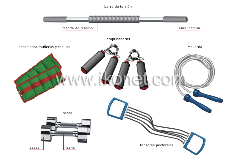 aparatos de ejercicios image