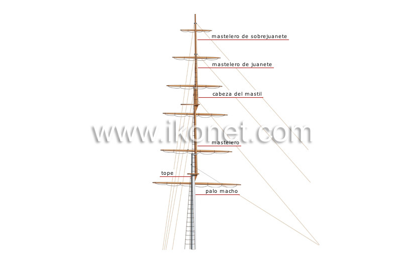 arboladura y aparejos image