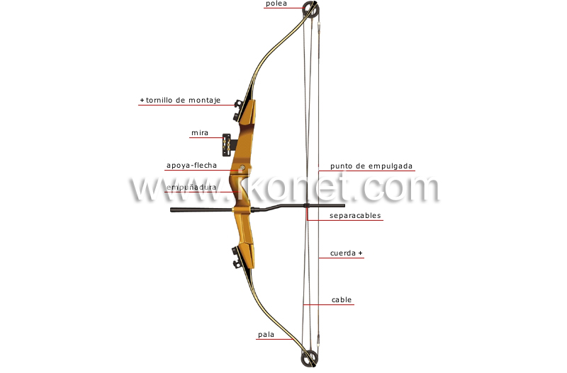 arco de poleas image