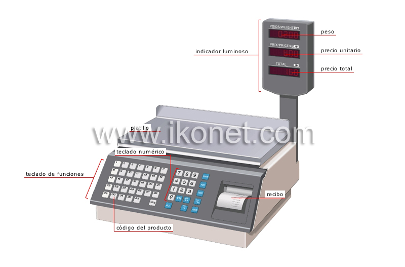 báscula electrónica image