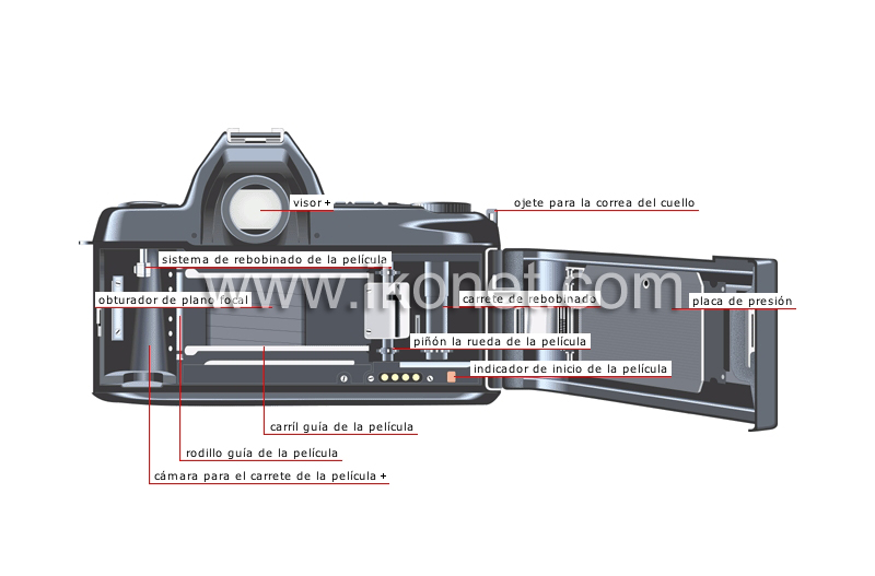 cámara réflex monocular: vista posterior image