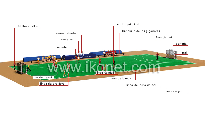 cancha image