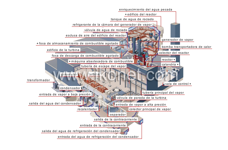 central nuclear image