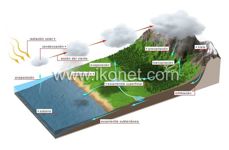 ciclo hidrológico image