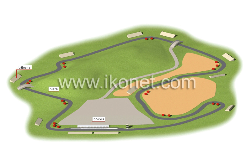 circuito image