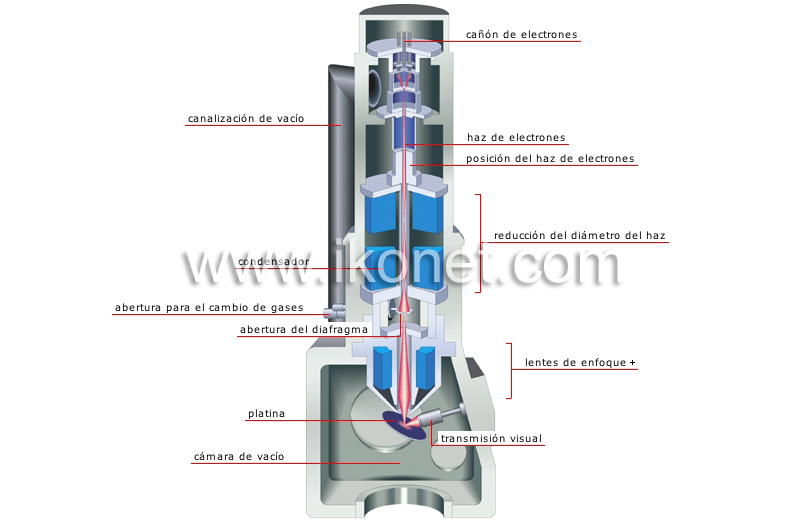 corte transversal de un microscopio de electrones image