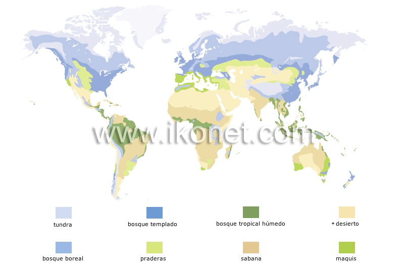 distribución de la vegetación image