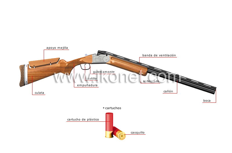 deportes y juegos > deportes de precisión y puntería > tiro al plato >  escopeta calibre 12 imagen - Diccionario Visual