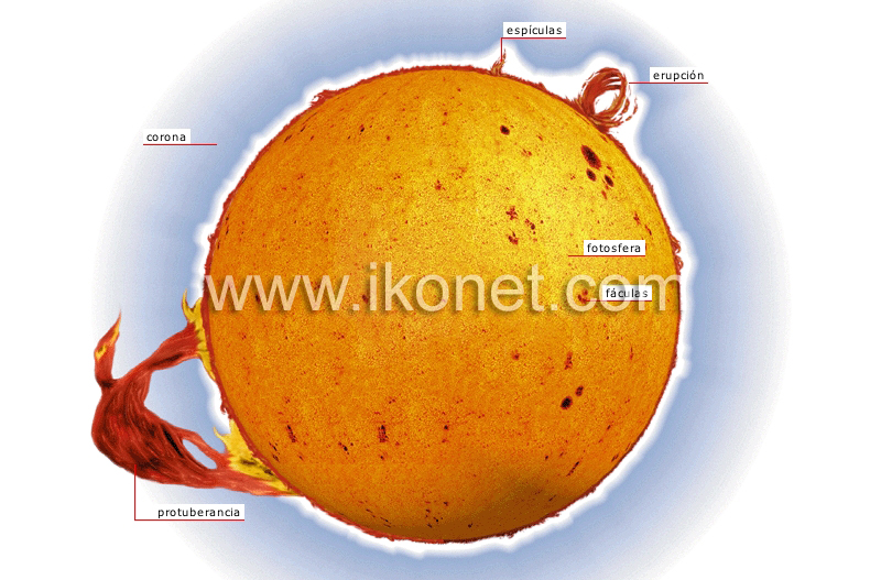 estructura del Sol image