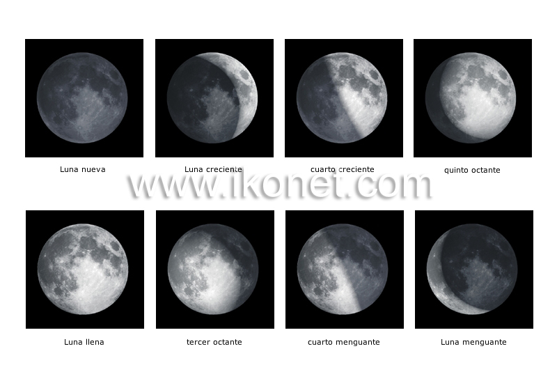 fases de la Luna image