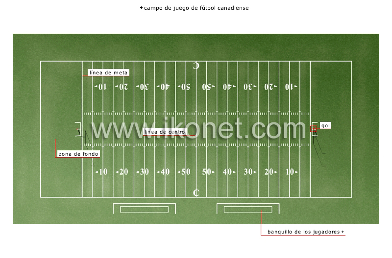 fútbol canadiense image