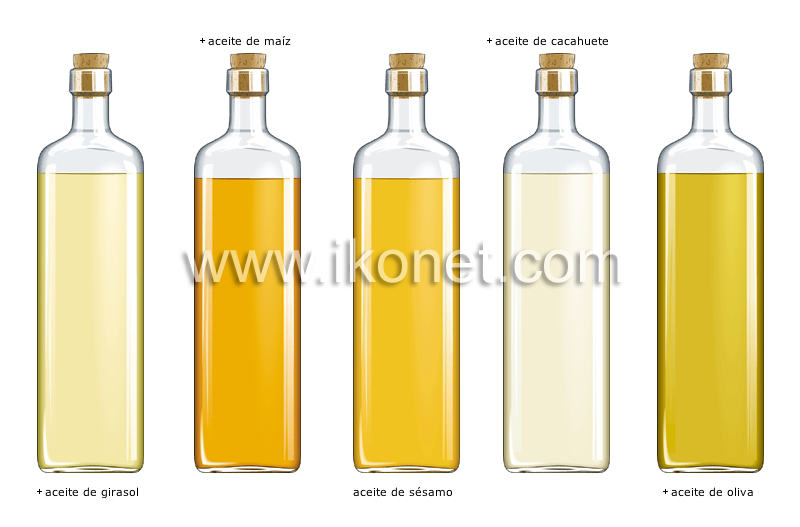 grasas y aceites image