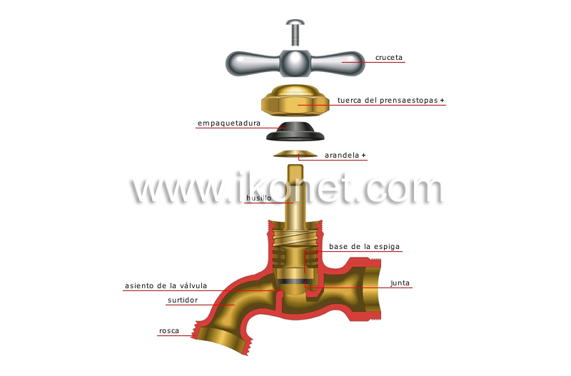 grifo de plato image