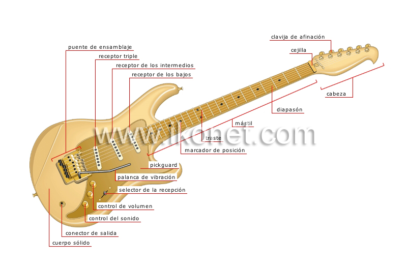 guitarra eléctrica image