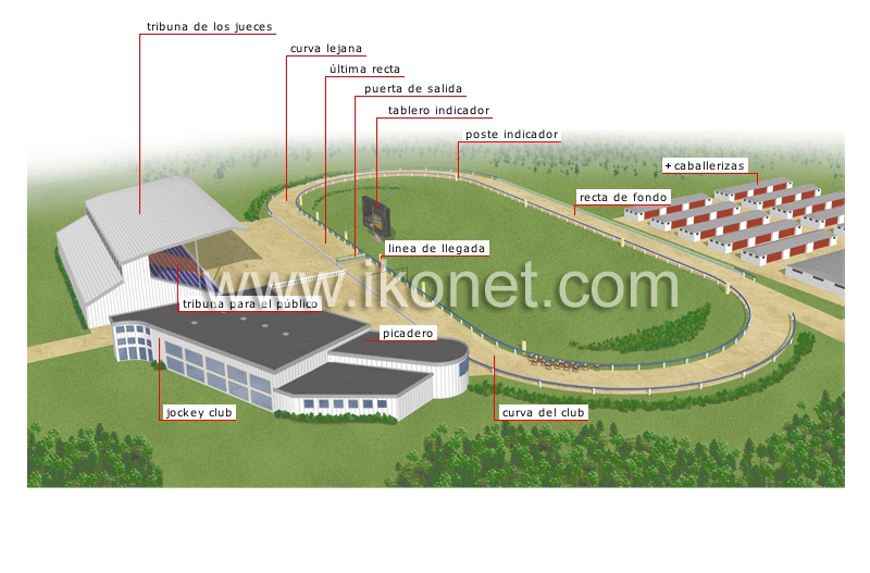 hipódromo image