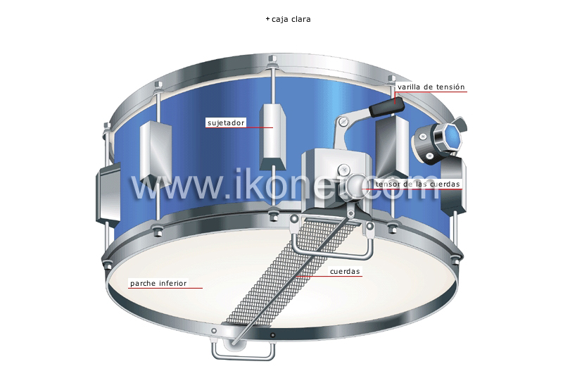 instrumentos de percusión image