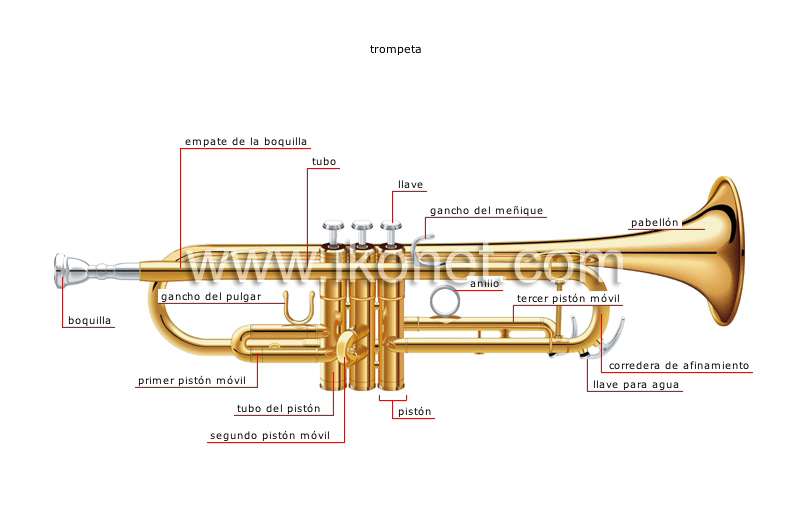 instrumentos de viento image