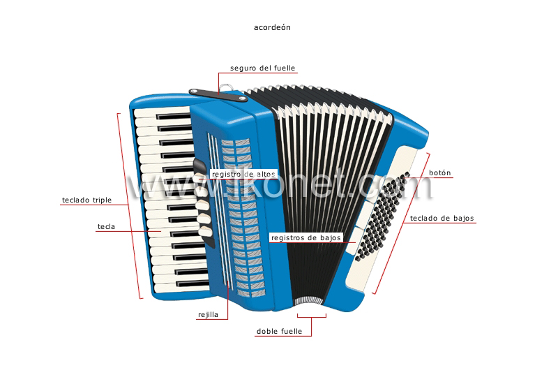 instrumentos musicales tradicionales image