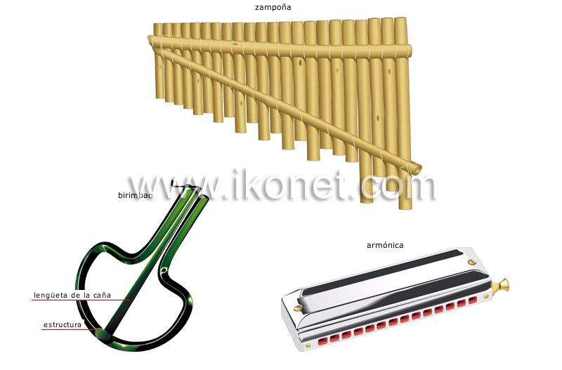 instrumentos musicales tradicionales image