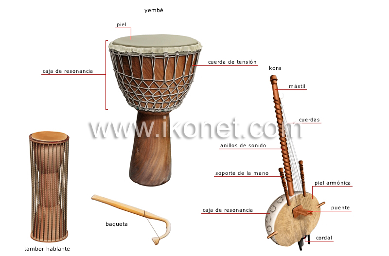 instrumentos musicales tradicionales image