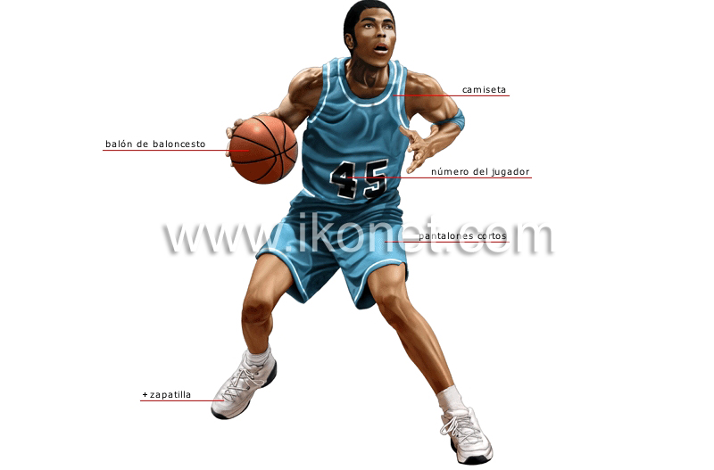 jugador de baloncesto image
