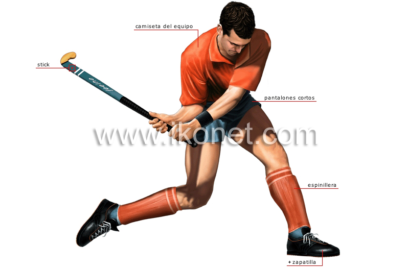 jugador de hockey image