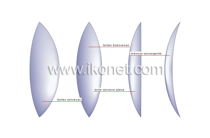 lentes convergentes image