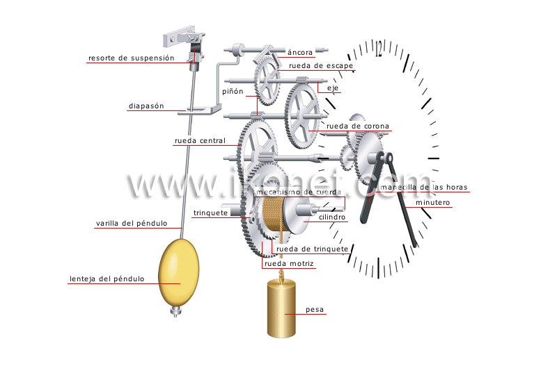 ciencia > aparatos de medición > medición del tiempo > mecanismo del reloj  de pesas imagen - Diccionario Visual