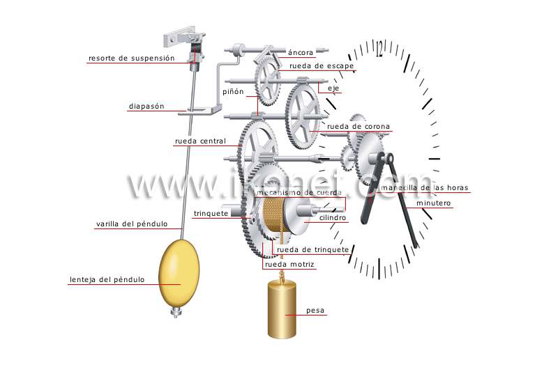 mecanismo del reloj de pesas image