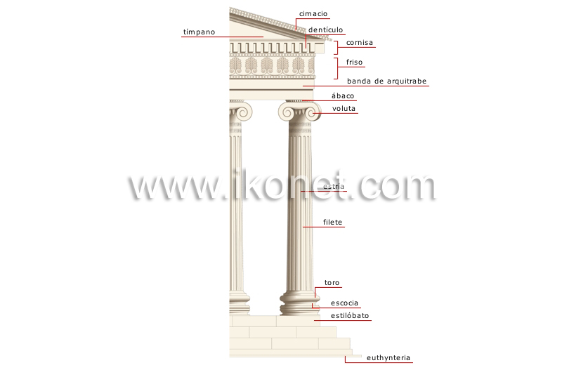 orden jónico image