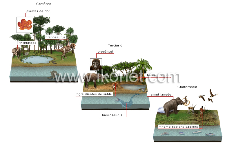 origen y evolución de las especies image