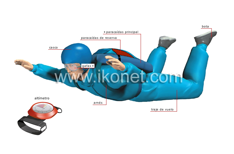 paracaidismo en caída libre image